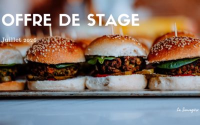 Stage en cuisine végétale événementielle – été 2026